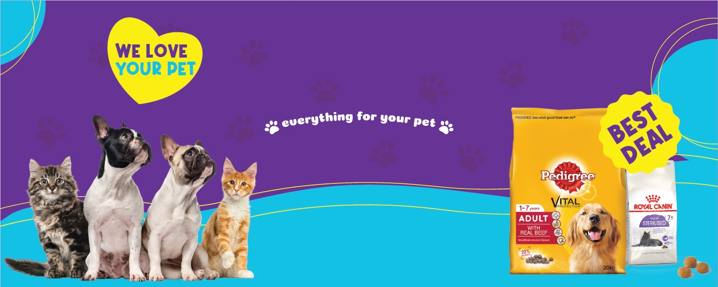 Background Design