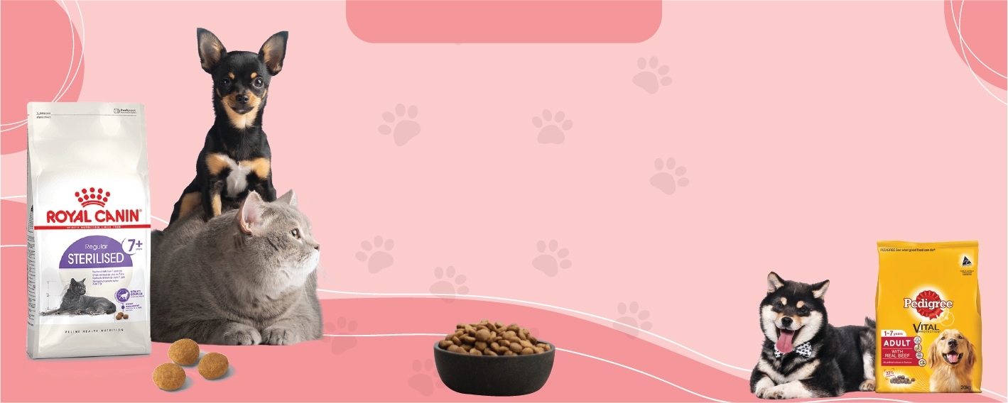 Background Design