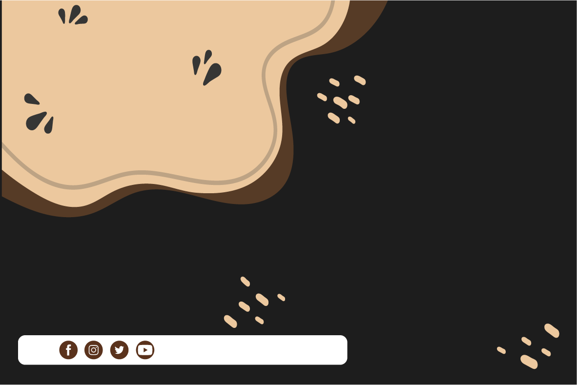 Background Design