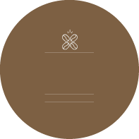Background Design