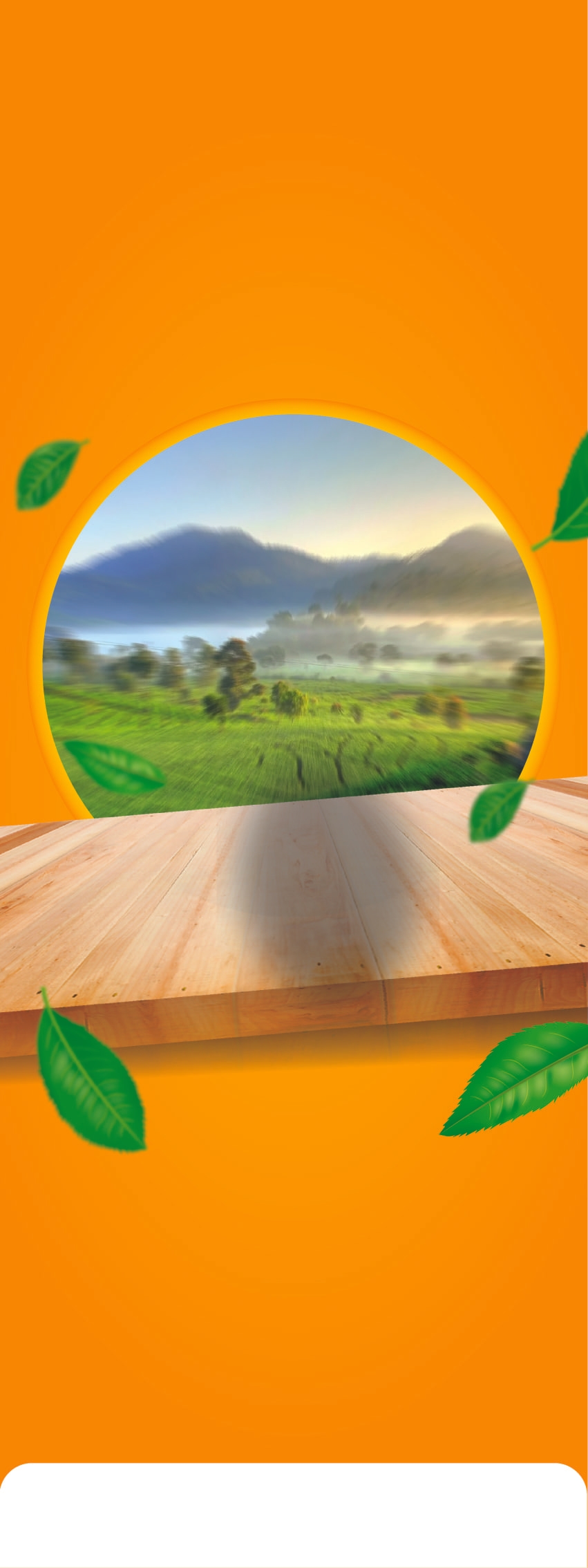 Background Design