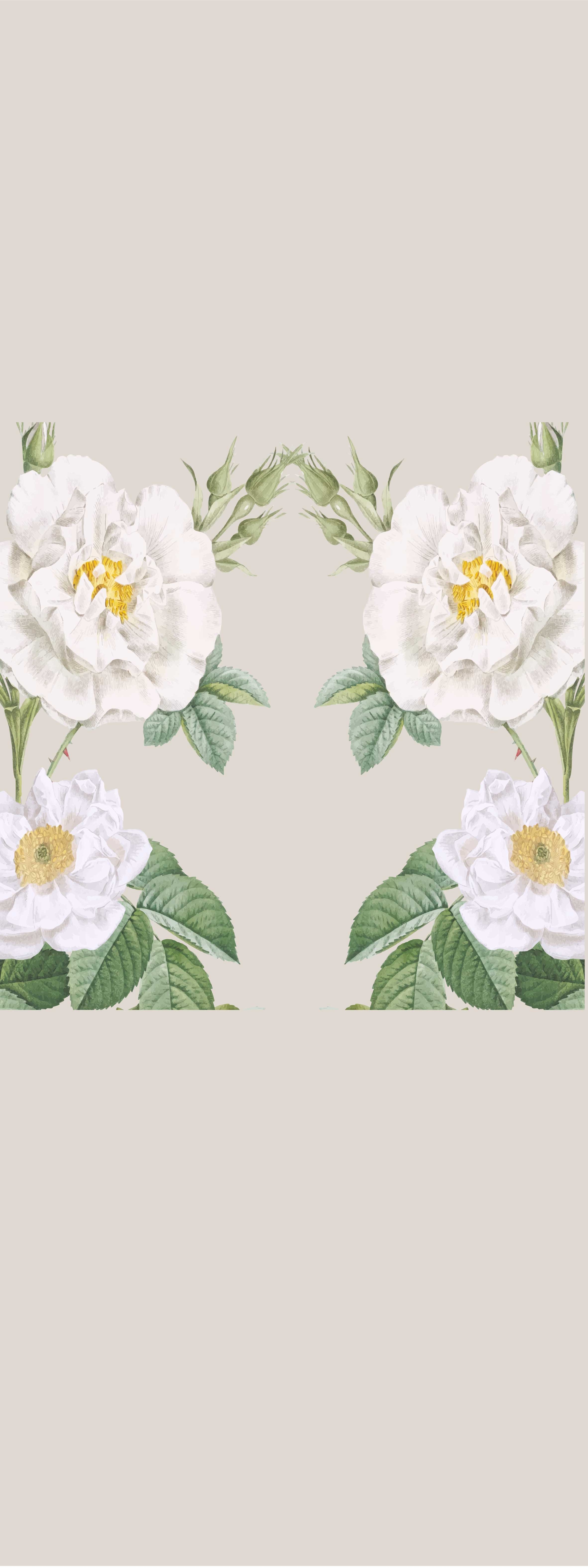 Background Design