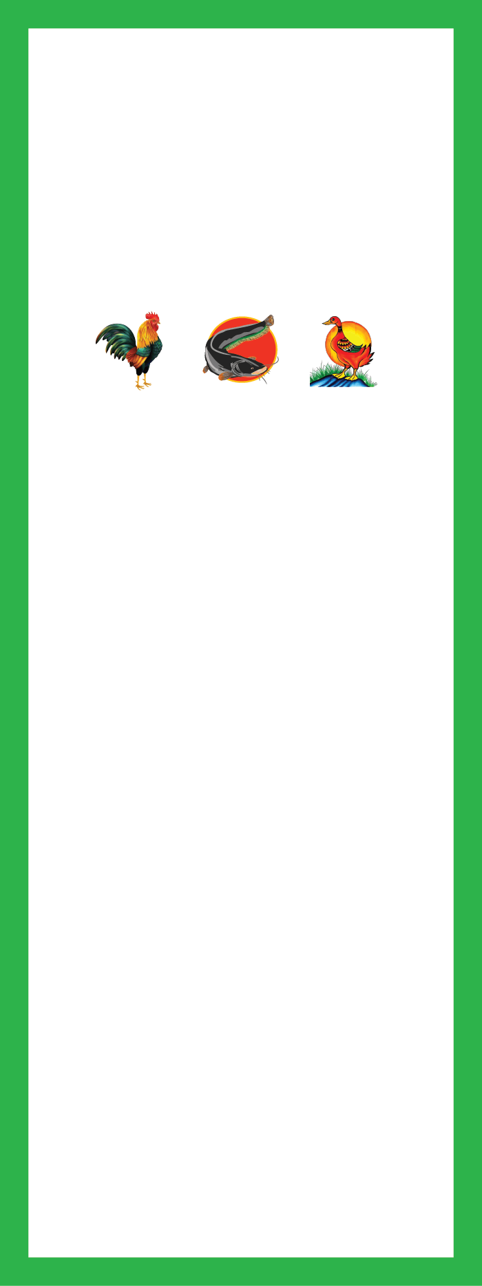 Background Design