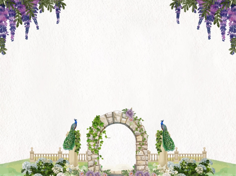 Background Design