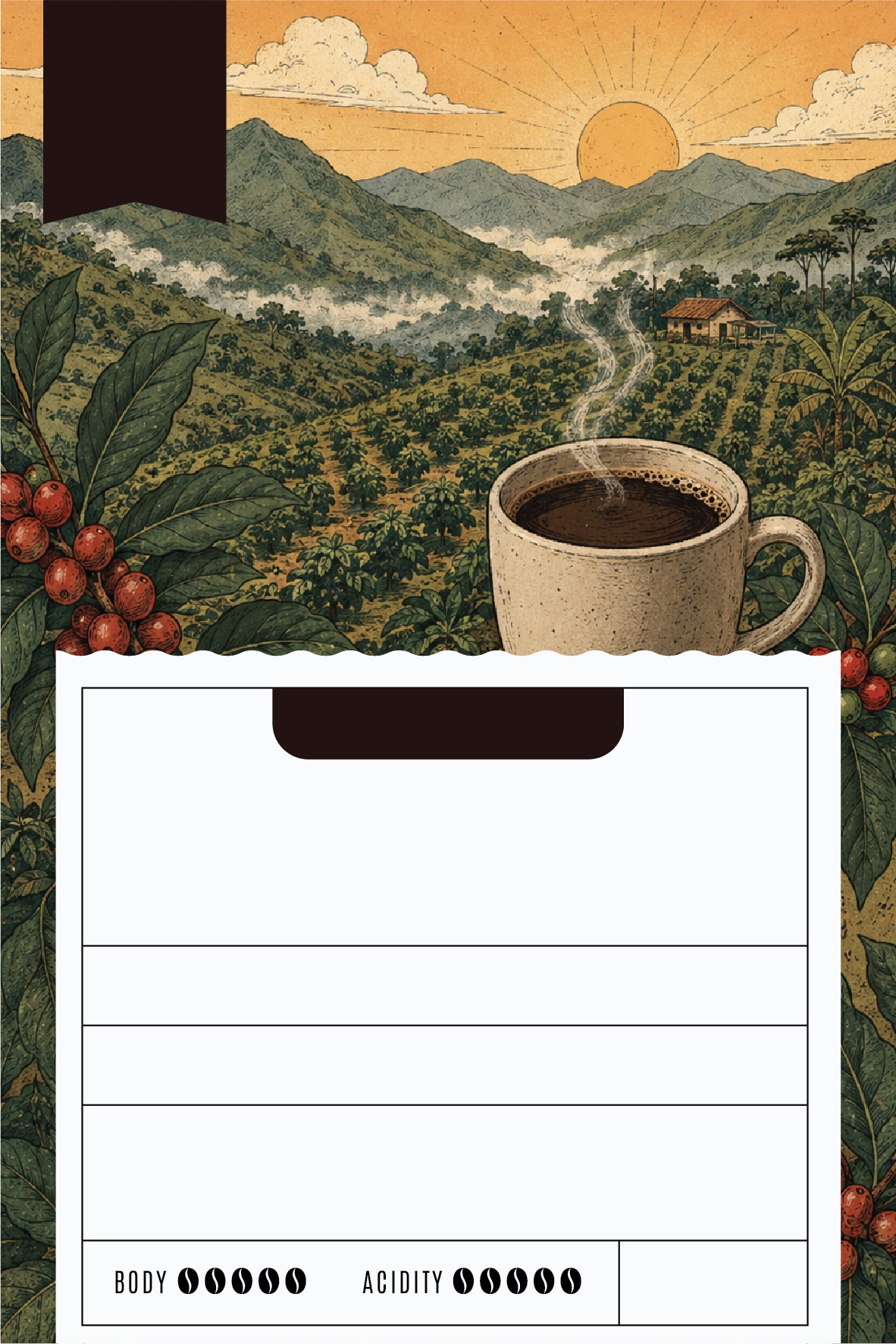 Background Design