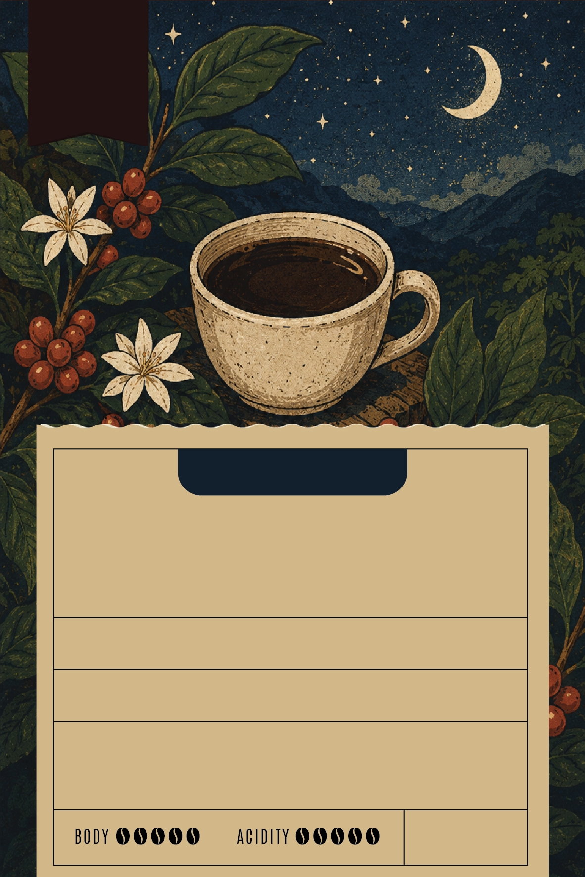 Background Design