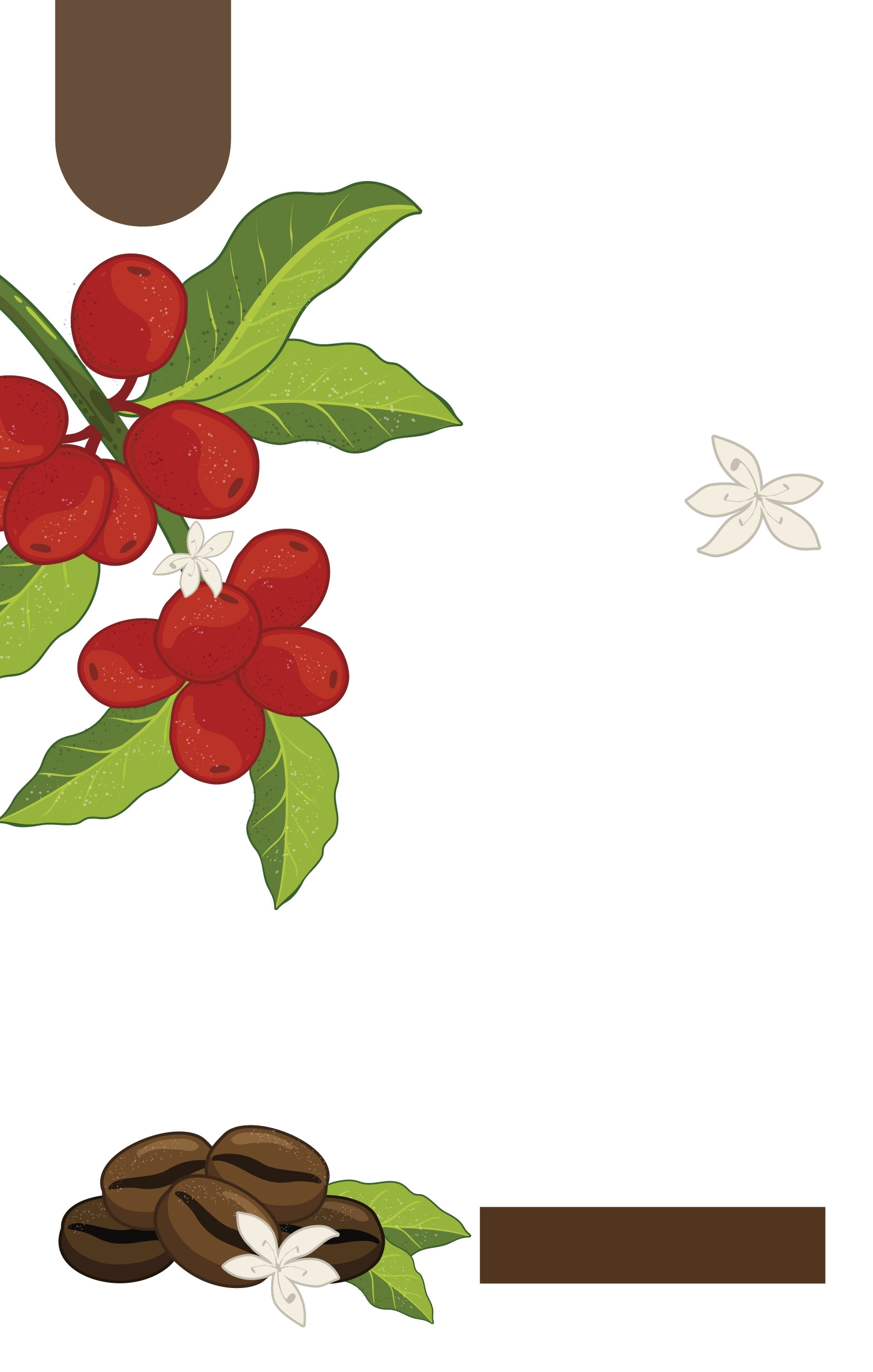 Background Design