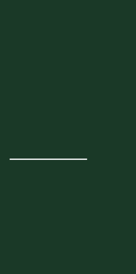 Background Design