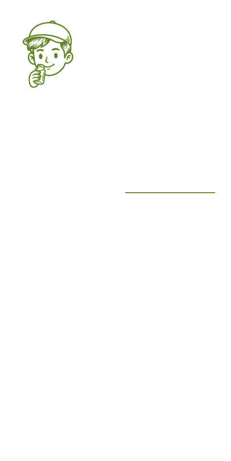 Background Design
