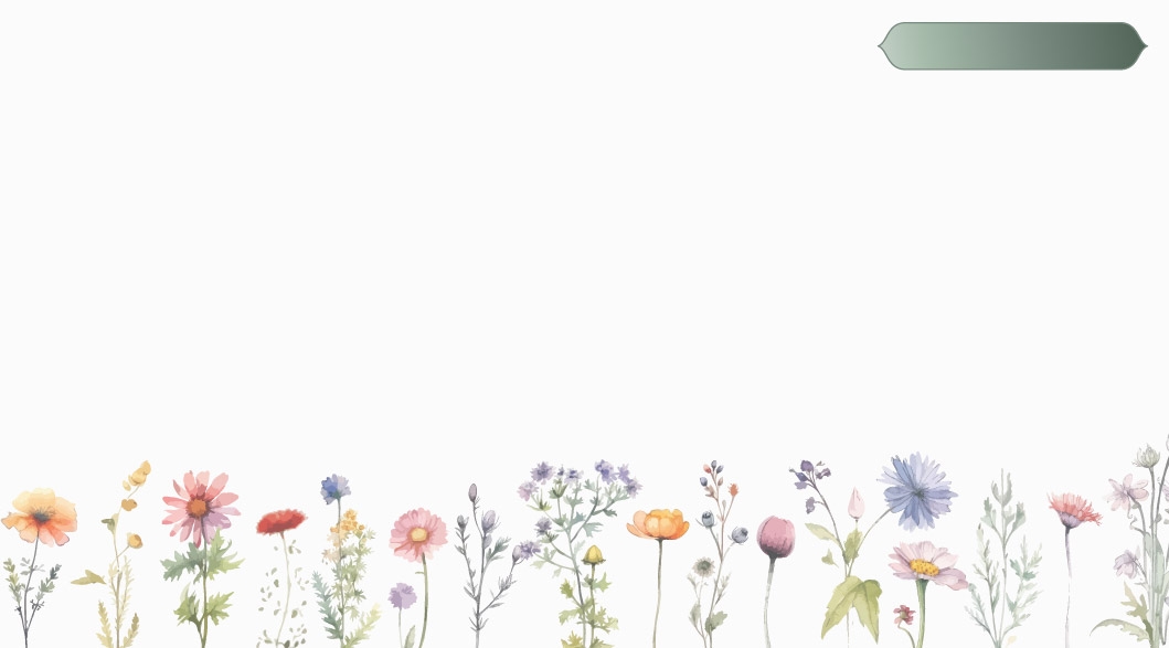 Background Design