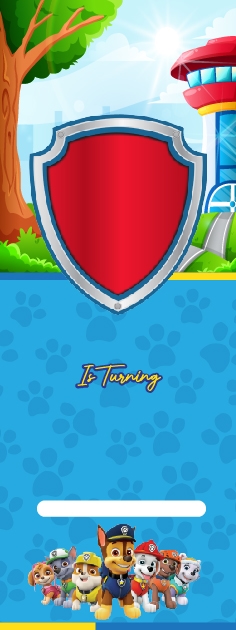 Background Design