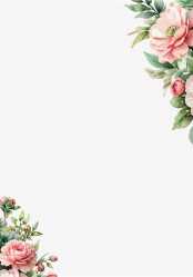 Sheet 1 Back Editable