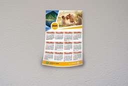 Sheet 1 Front Mockup