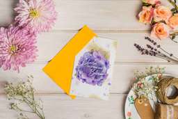 Sheet 1 Front Mockup