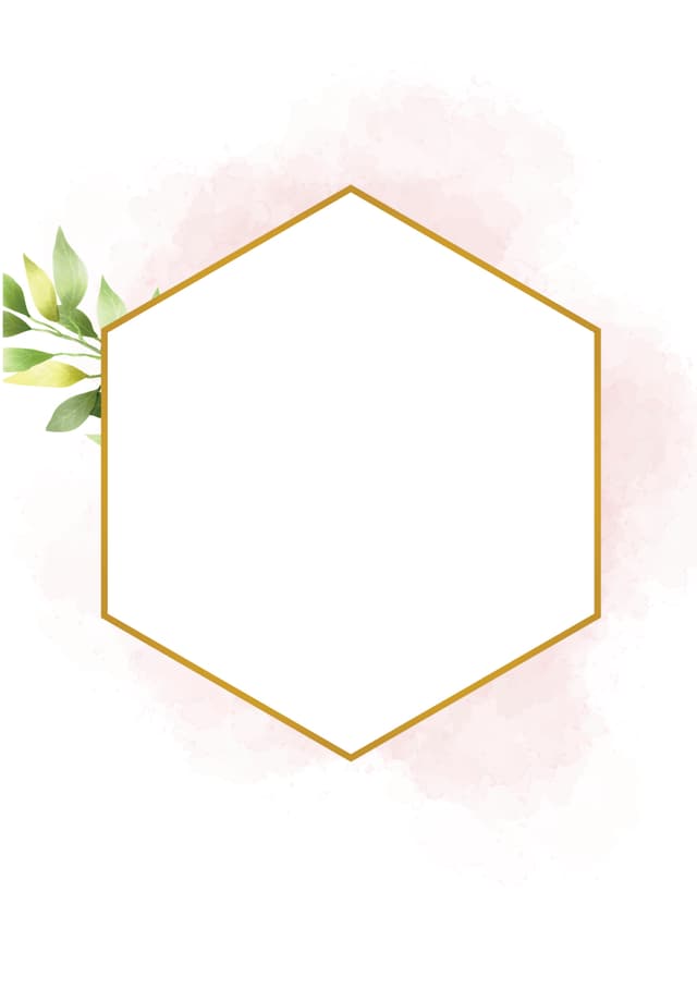Front Preview 1