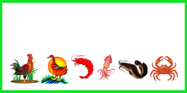 Custom Design Preview