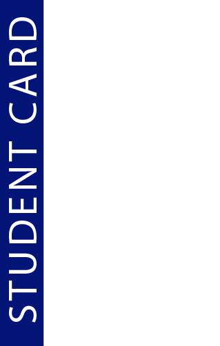 Custom Design Preview