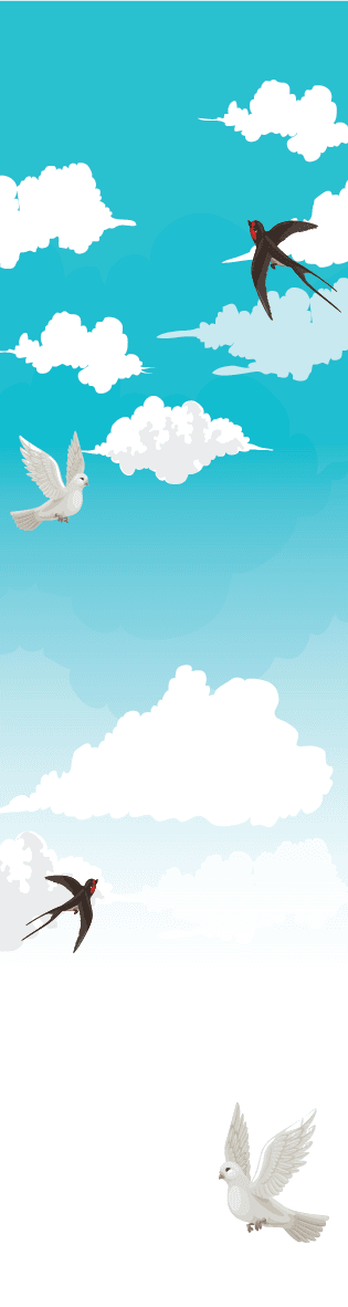 Custom Design Preview