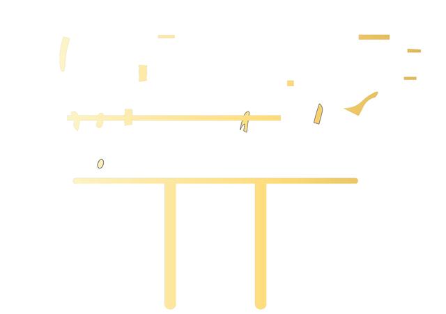 Custom Design Preview