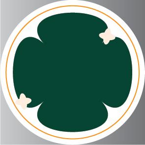 Custom Design Preview