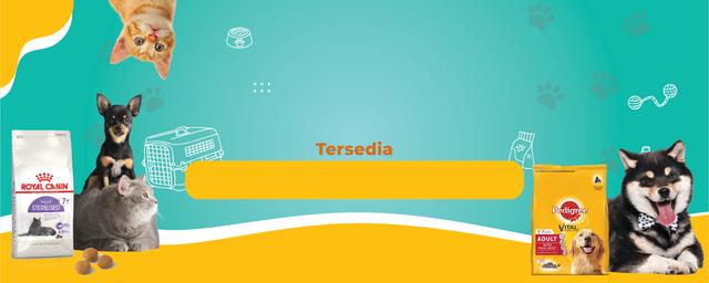 Custom Design Preview