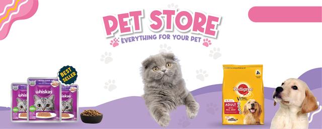 Custom Design Preview