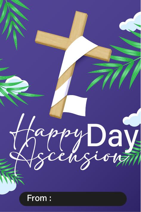 Custom Design Preview