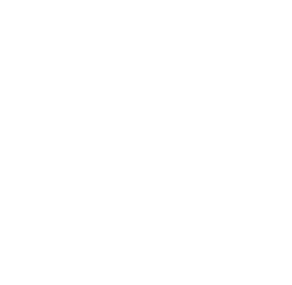 Custom Design Preview