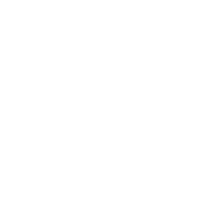 Custom Design Preview