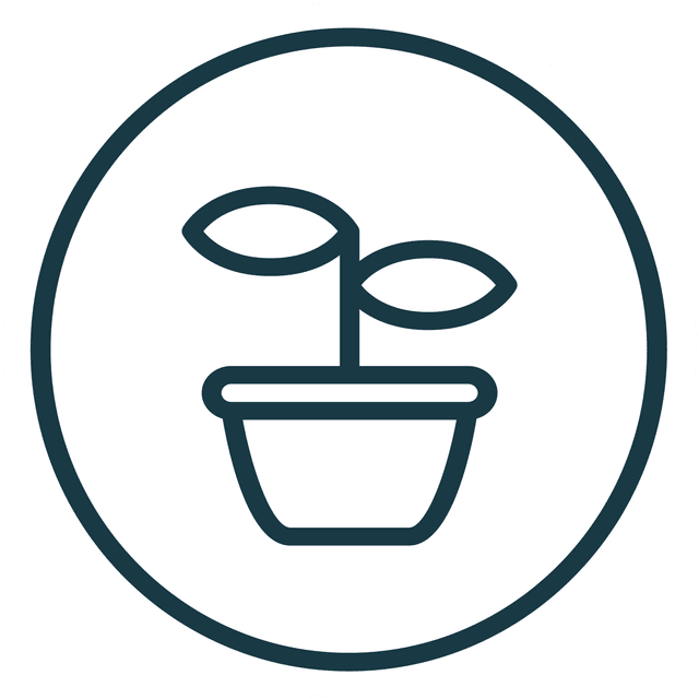 Custom Design Preview