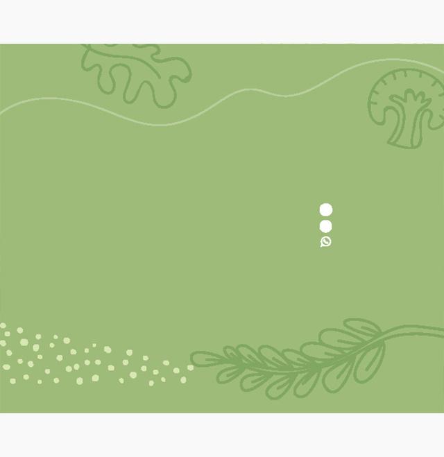 Custom Design Preview