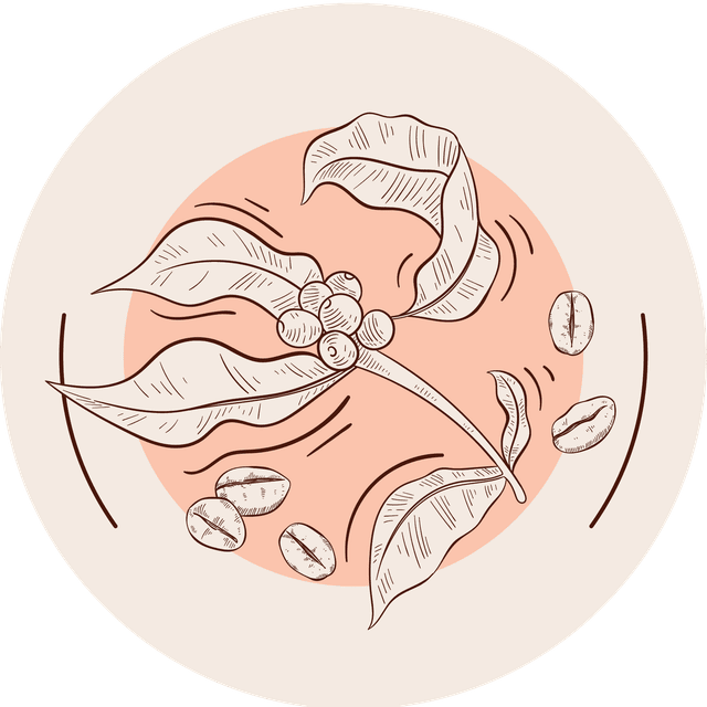 Custom Design Preview