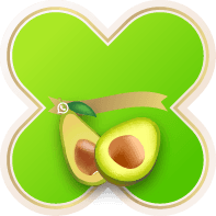 Custom Design Preview