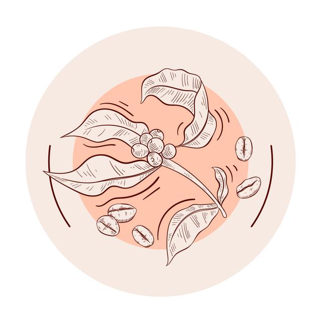 Custom Design Preview