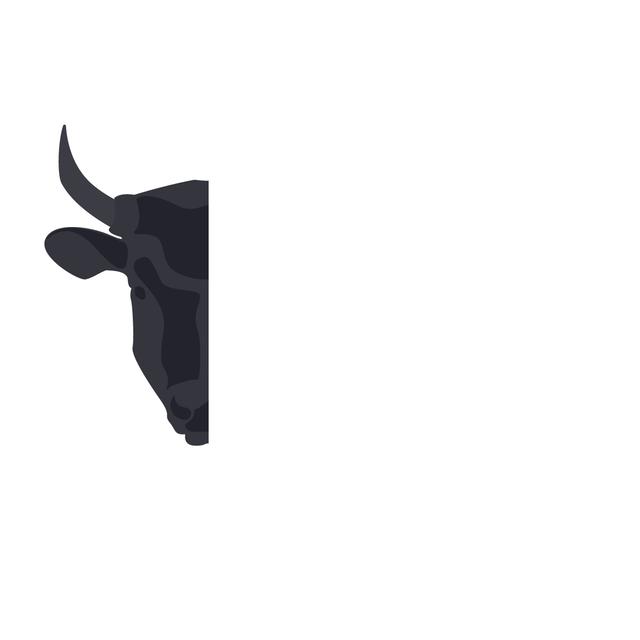 Custom Design Preview