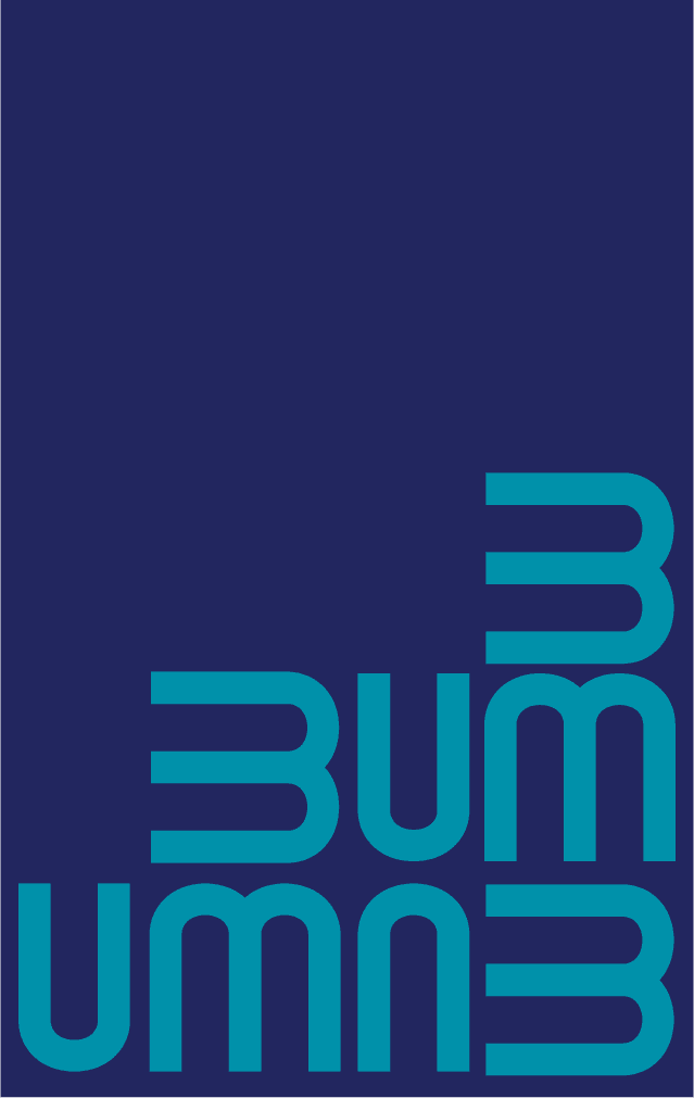 Custom Design Preview