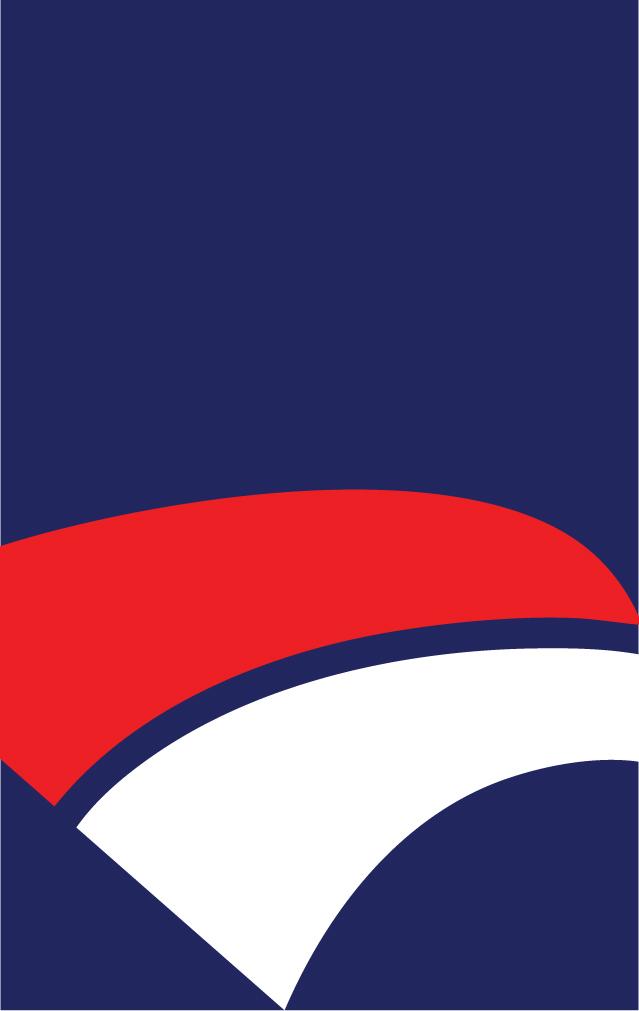 Custom Design Preview