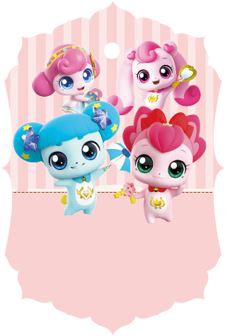 Custom Design Preview