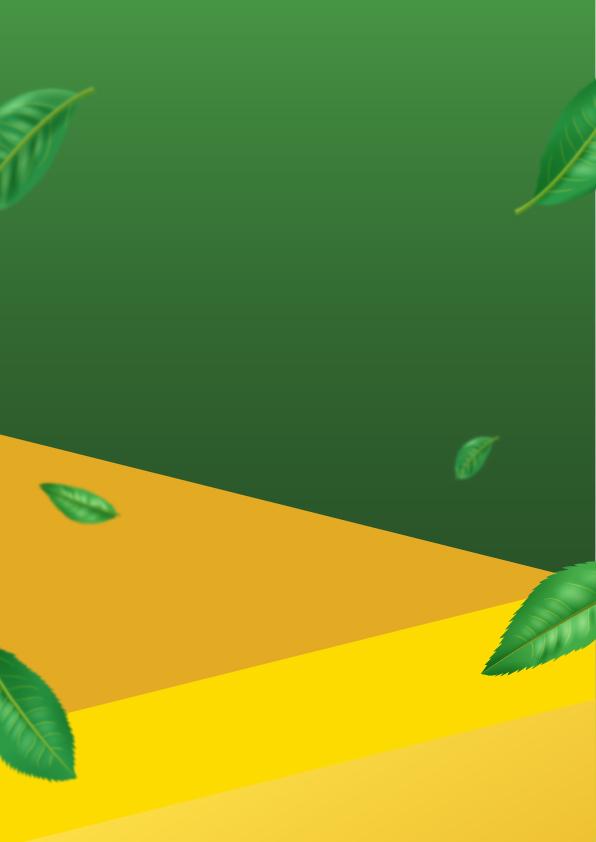 Custom Design Preview