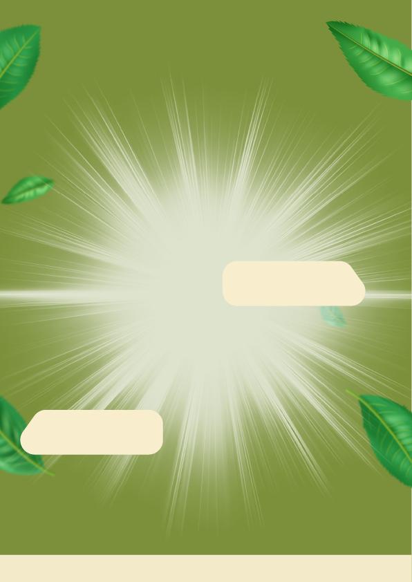 Custom Design Preview