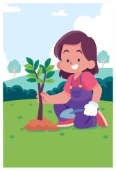 Custom Design Preview