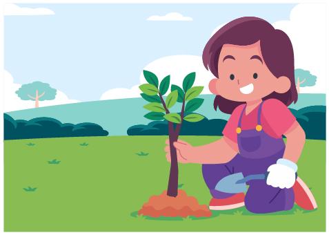 Custom Design Preview