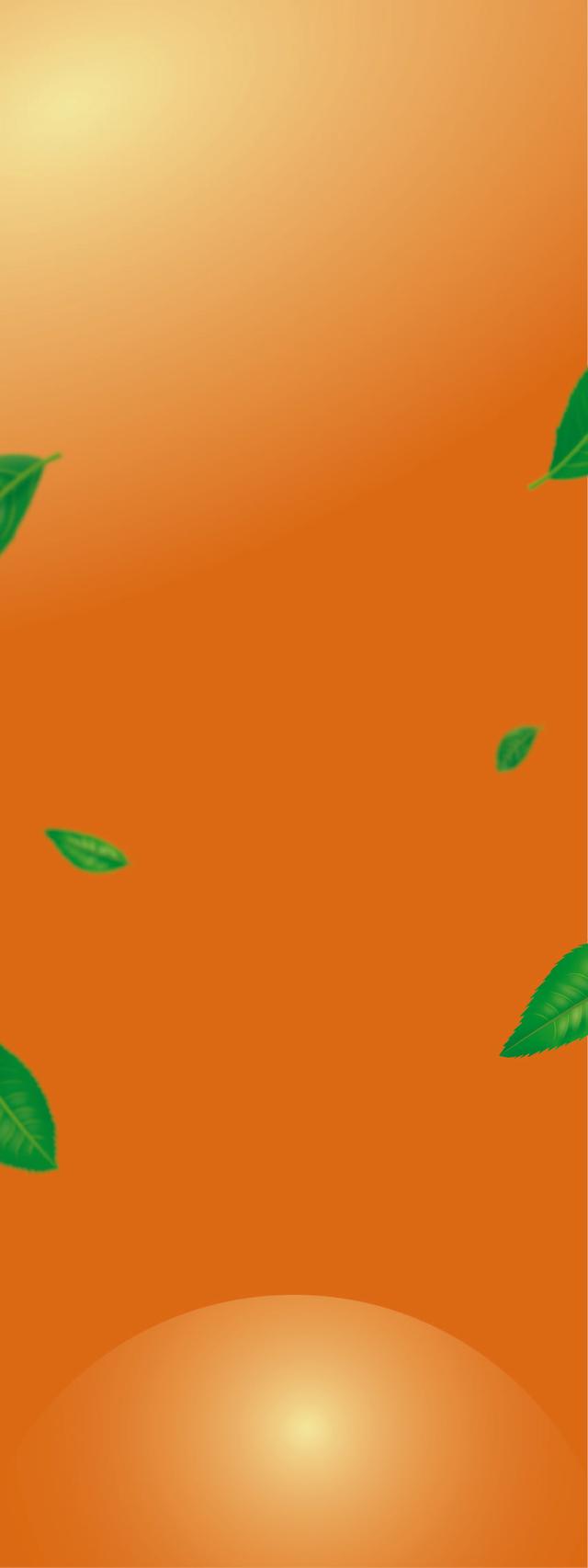 Custom Design Preview