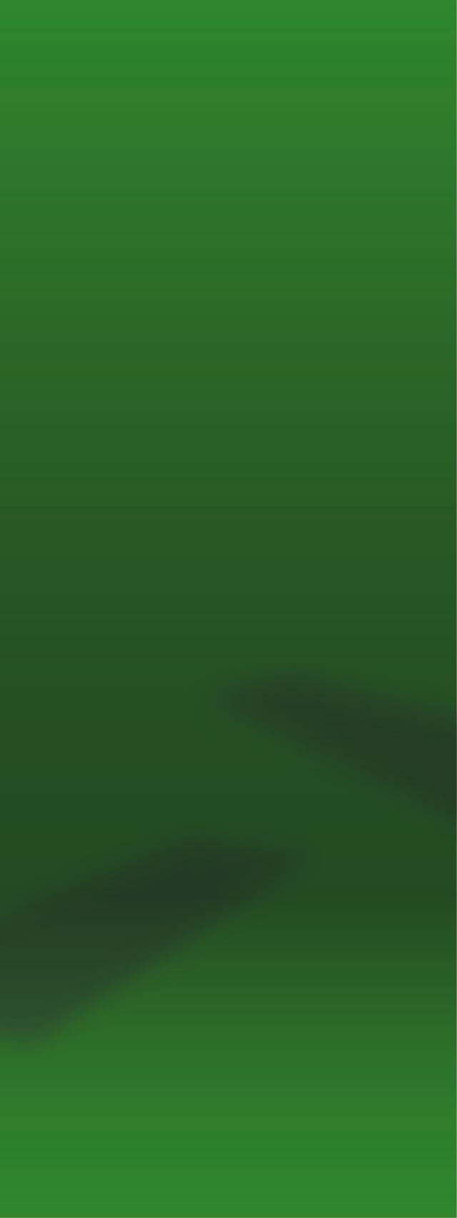 Custom Design Preview