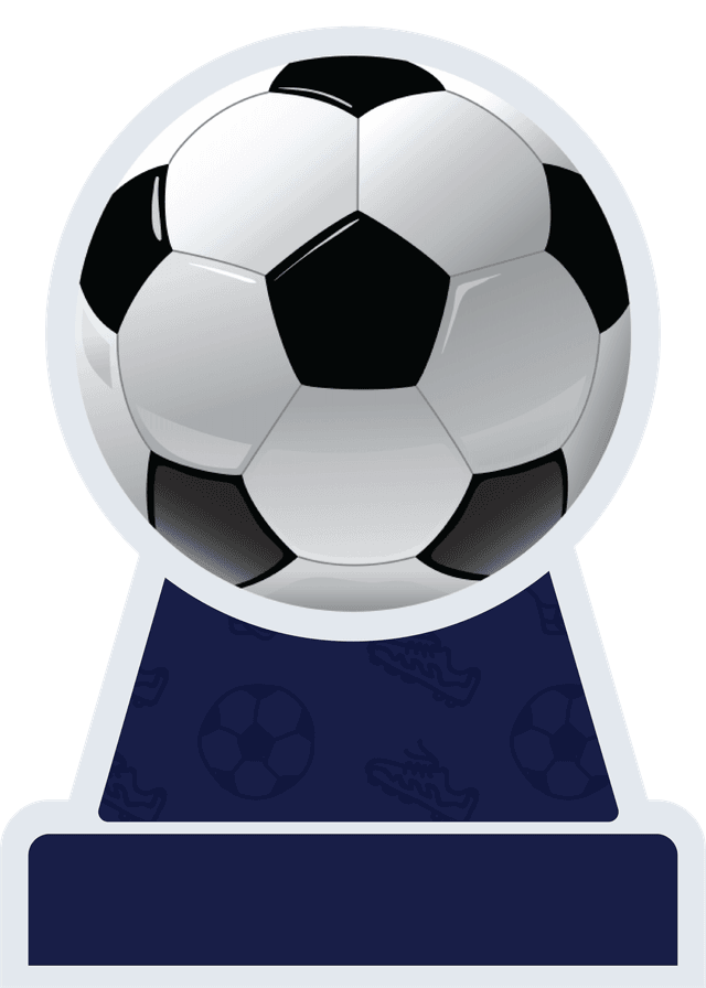 Custom Design Preview