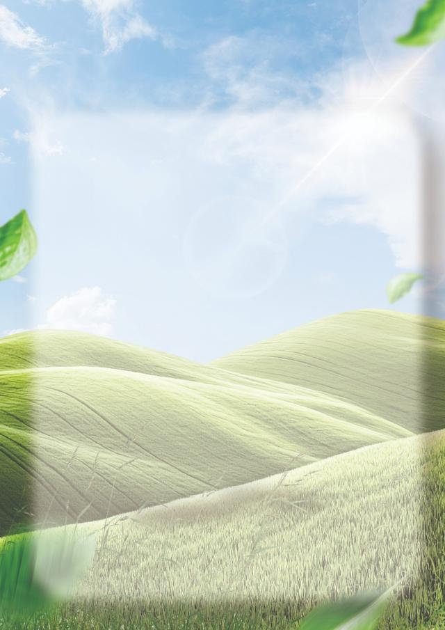 Back Design Thumbnail