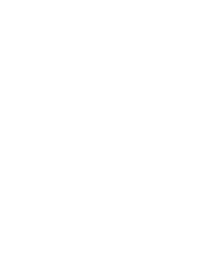 Custom Design Preview