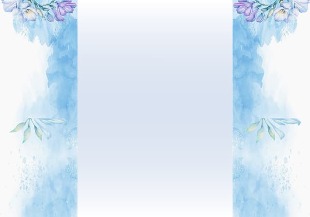 Back Preview 3