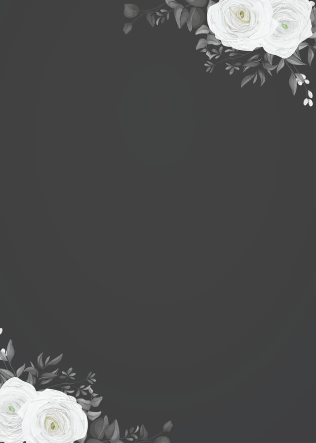Front Preview 1