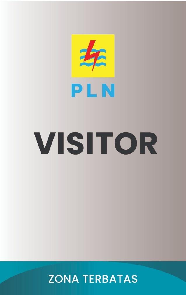 Custom Design Preview